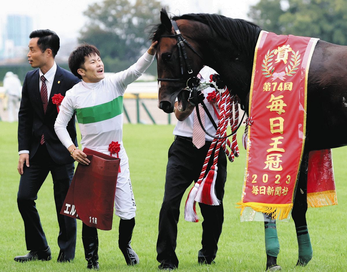 阪神3歳牡馬S 第45回 3歳馬エルト ヒシアマゾン