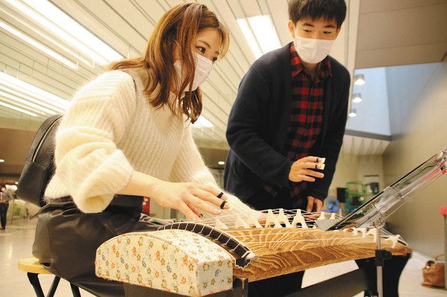 【きれいな状態】琴  伝統的和楽器（直接引取専用品）石川県金沢市