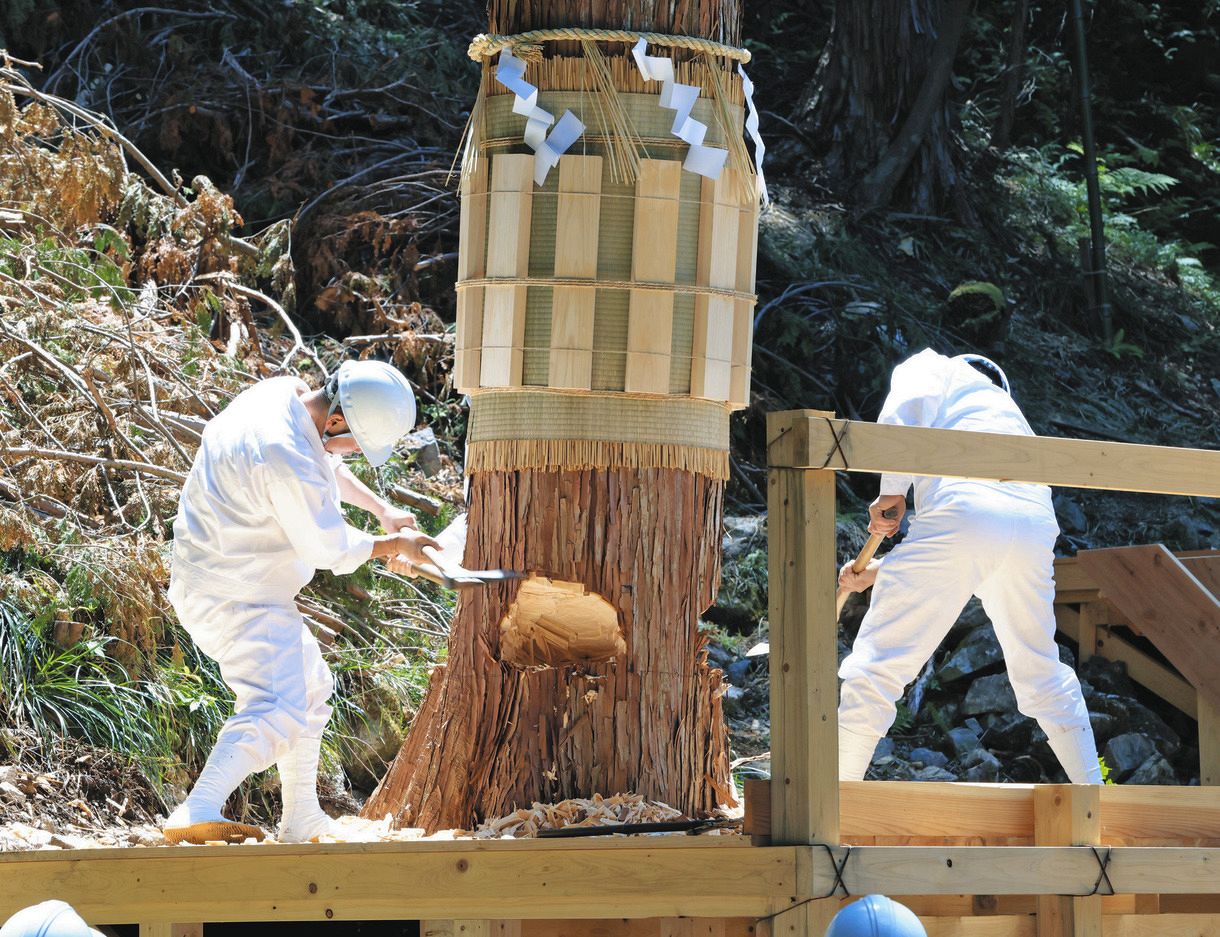 動画】式年遷宮へ裏木曽御用材伐採式、ご神体納める「御樋代」切り出す