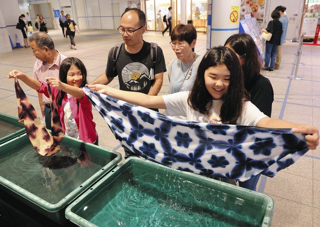 有松 鳴海絞 有松絞り 有松鳴海絞りの浴衣を着物風に着る 菊