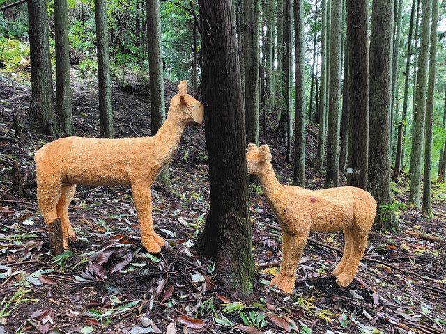 したりする】 ヤフオク! - 12本の枝角を持った小さな牡鹿（オジカ