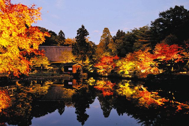 東山動植物園で18日から紅葉ライトアップ 合掌造りの家周辺など：中