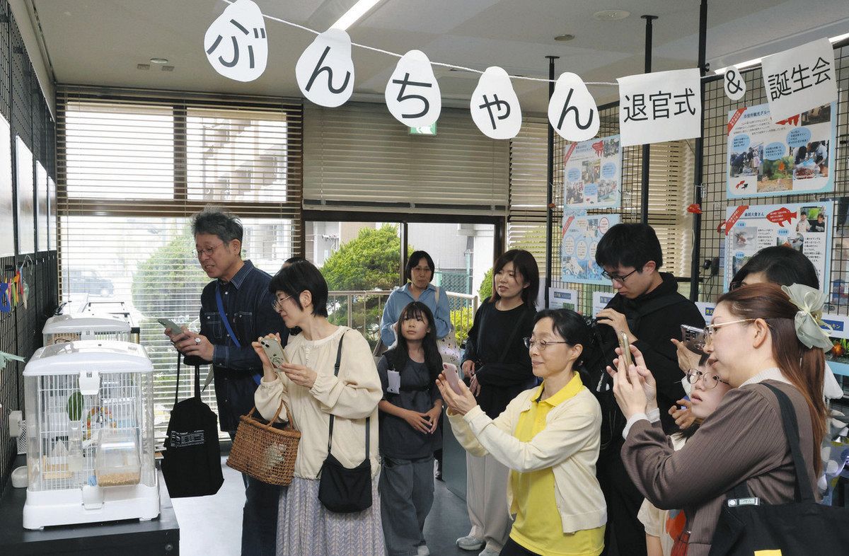 愛されて退官「おつかれさま」 弥富市歴史民俗資料館のぶんちゃん：中
