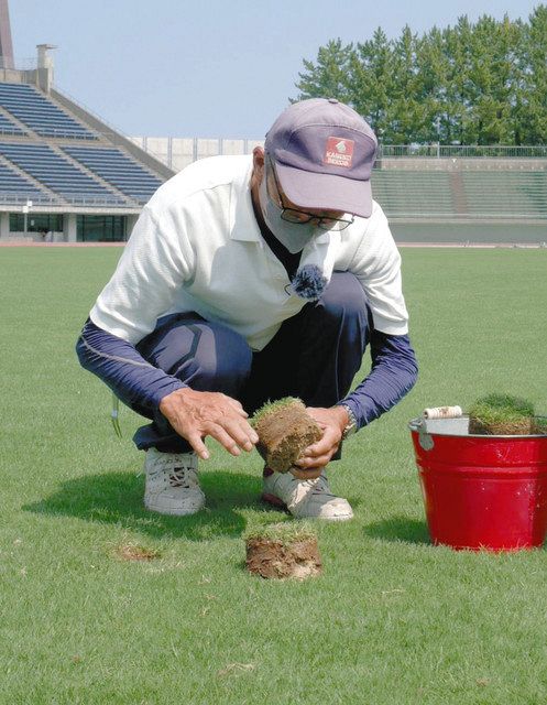石川】背番号「48（しば）」 芝生の守護神 ツエーゲン金沢のピッチ 冬