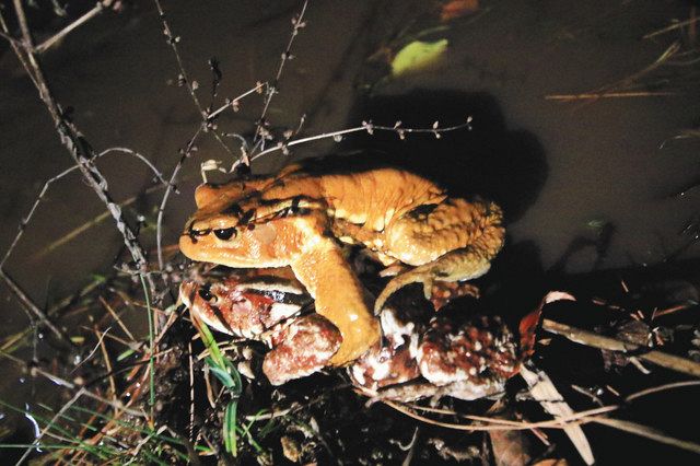 Mwenjklbdzfabm Mwenjklbdzfabm