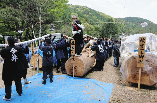 フィナーレへ準備万端 諏訪大社御柱祭、14日から下社里曳き：中日新聞Web