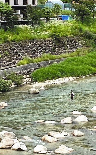 濁りが残る中、上村川・本郷地内で竿を出す釣り人
