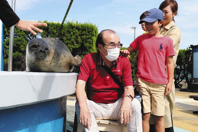 アザラシと孫が肩たたきで 敬老 南知多ビーチランド ２１日まで 中日新聞web