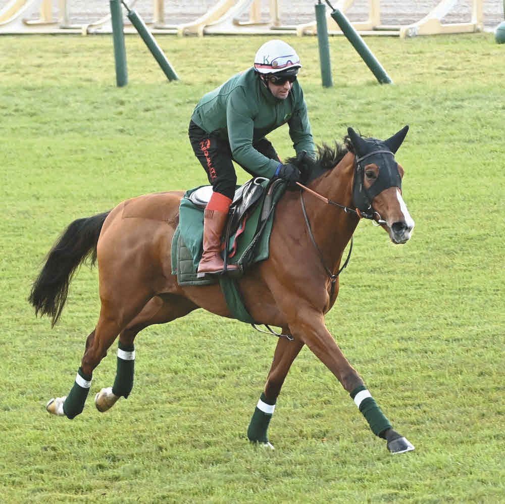 熊沢重文さんの二刀流予想】ジャパンCはじけそうな末脚の遠征馬