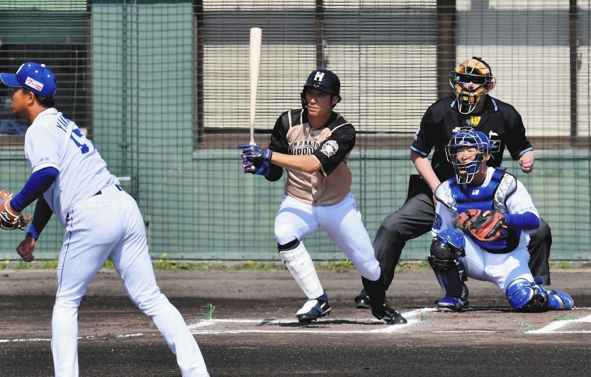 日本ハム】“横浜高校OB対決