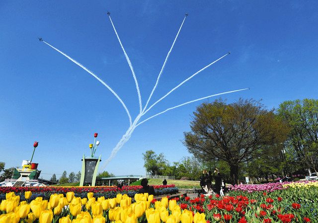 富山 きょう開幕 花添えます チューリップフェアでブルーインパルス 北陸中日新聞web