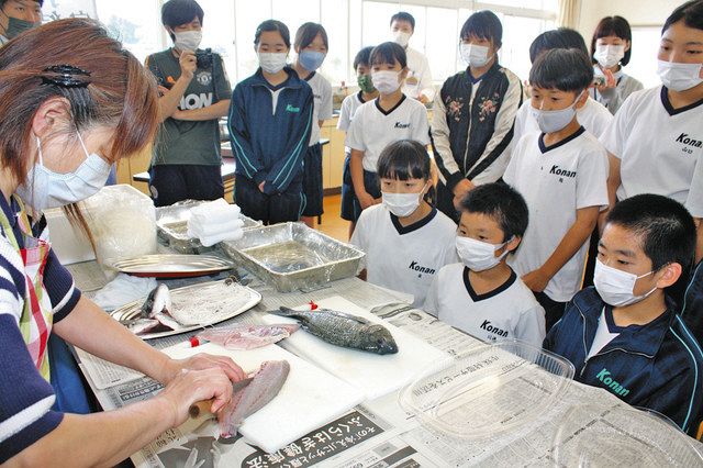 郷土の魚クロダイ 湖南小６年生学ぶ 氷見 観察や給食味わう 北陸中日新聞web