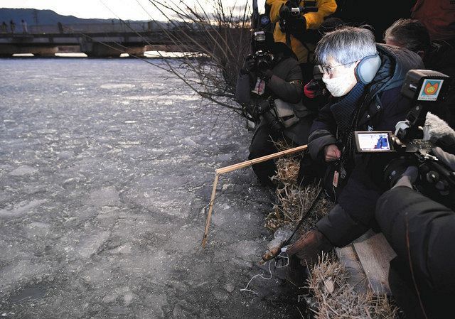 ああ「御神渡り」遠のいた 期待冷え込む大寒の諏訪湖、波風で氷砕け 