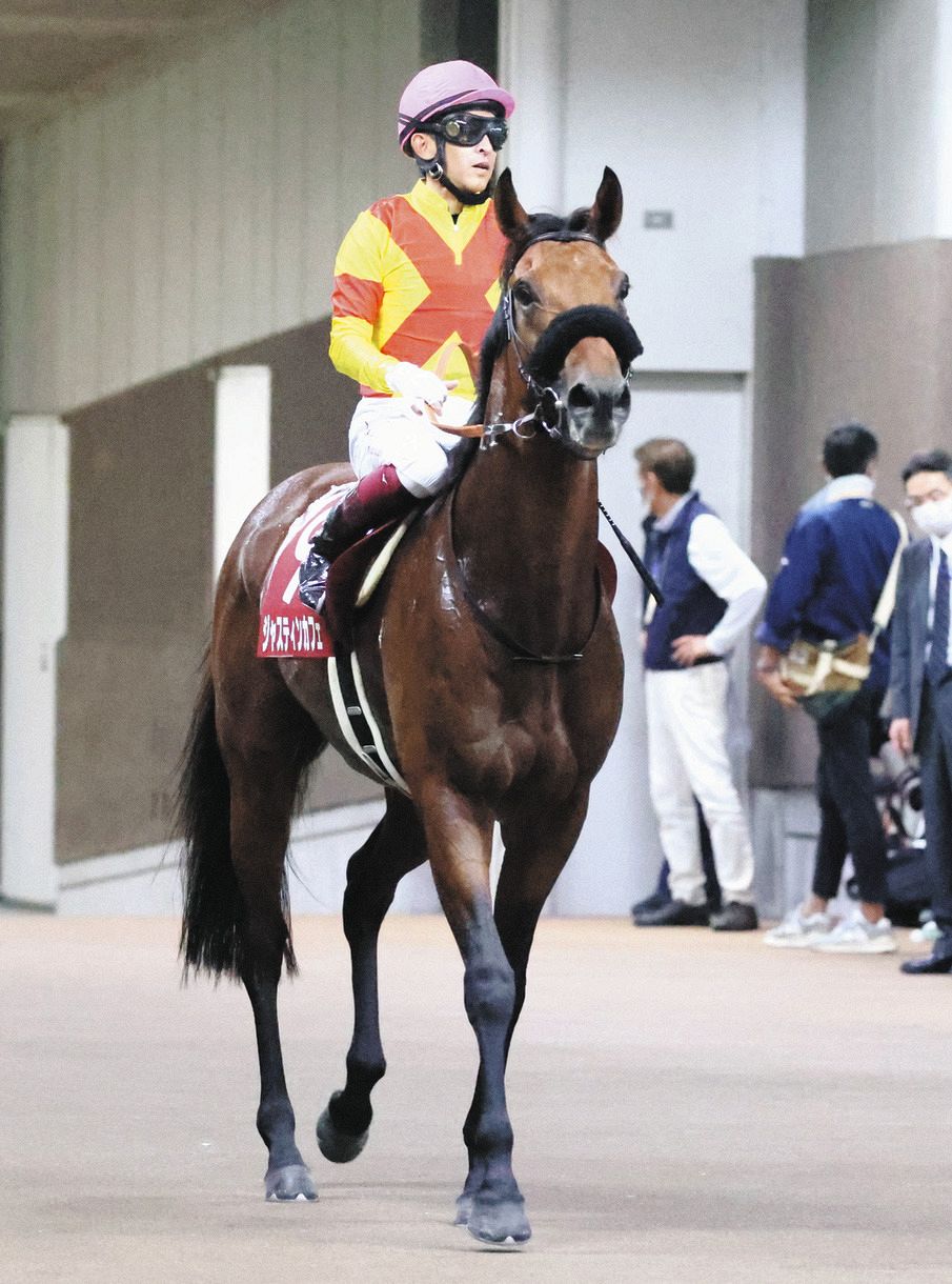 ジャスティンカフェ、勝ち馬の切れに屈し2着　福永「ポテンシャルの高さは見せてくれた」【毎日王冠】