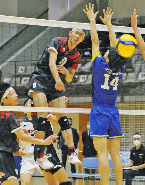 福井工大福井バレーボール部スウェット上下 福井工大福井バレーボール