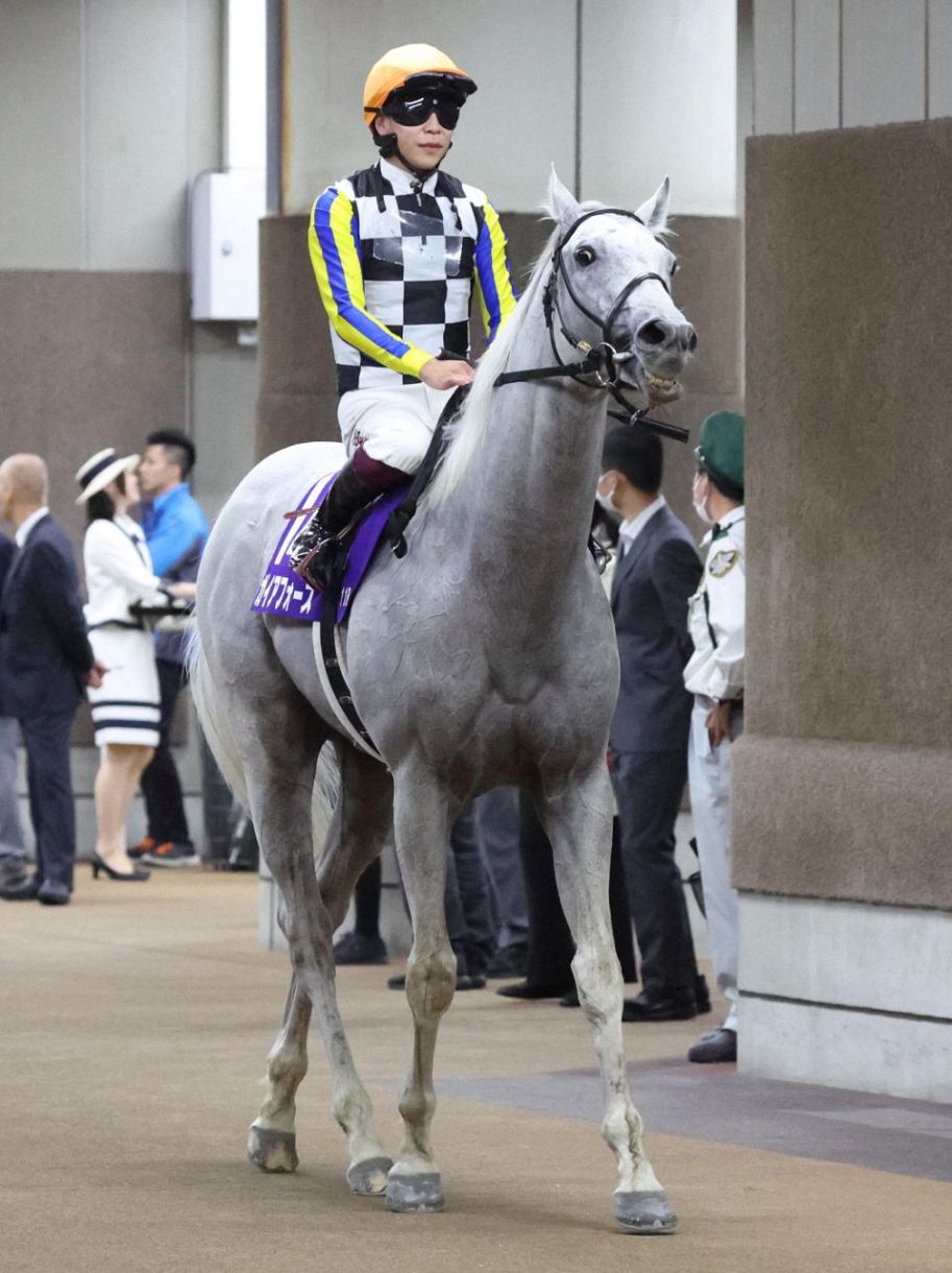 安田記念】1番人気ガイアフォースは同着の2着、G1で4度目の銀メダル