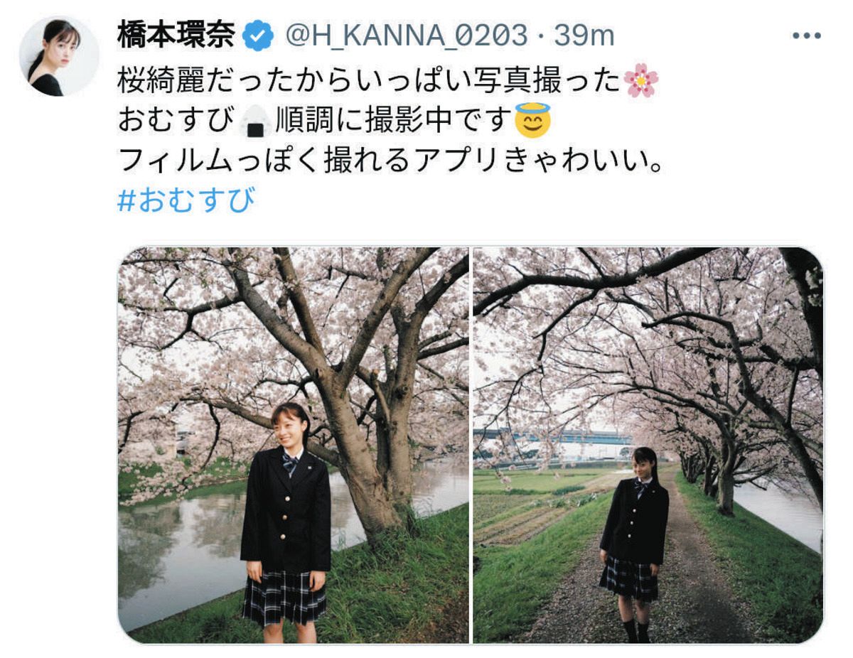 ◇橋本環奈、制服&ポニーテール サクラ満開のショット 朝ドラ ◇橋本環奈、制服&ポニーテール サクラ満開のショット 朝ドラ