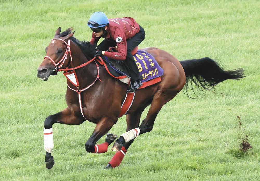 JRA】フォーエバーヤングがジョッキークラブゴールドカップ予備登録