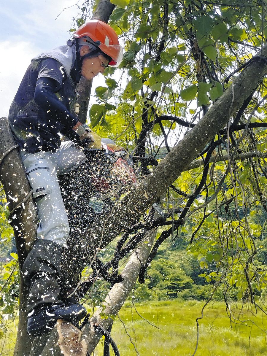 農を考える】森林サポーター 強い味方 限界集落の除草・樹木伐採 南砺