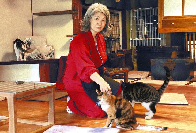 マンスリー北中タイムズ】保護猫 幸せつなぐ場所 富山の譲渡型カフェ