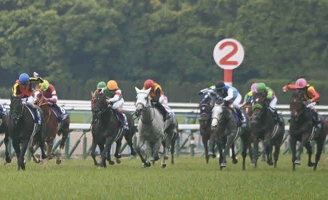 天皇賞・春】長い写真判定の末、鼻差で… 19年ぶりに日本ダービー馬が