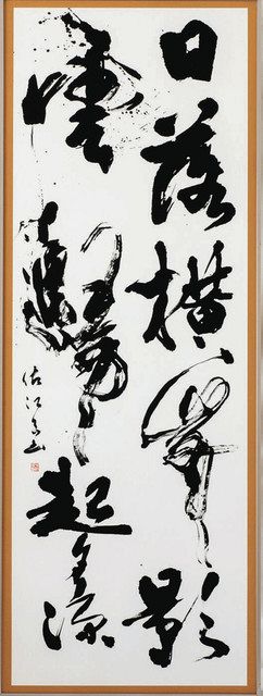 長浜市展 6部門239点受賞、文化芸術会館で展示：中日新聞Web