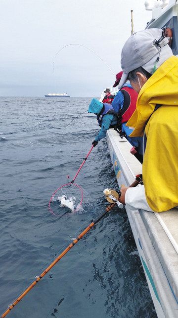 ヒラメ入れ当たり 宮城 亘理沖 中日スポーツ 東京中日スポーツ