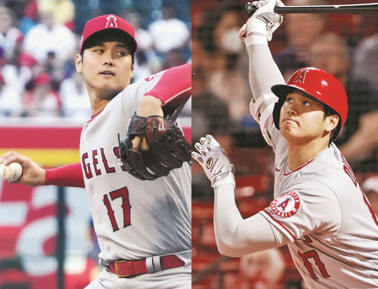 きれい 大谷翔平 WBC MVP記念 2023年 支給モデル バット チャンドラー