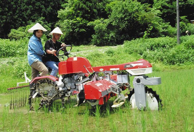 水と寒暖差 最良の農地 南砺の中山間地で無農薬栽培 北陸中日新聞web