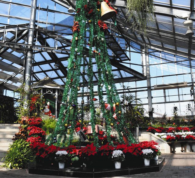 ５メートルのツリー 鮮やかな彩り 知多の公園 ２５日までイベントも 中日新聞web