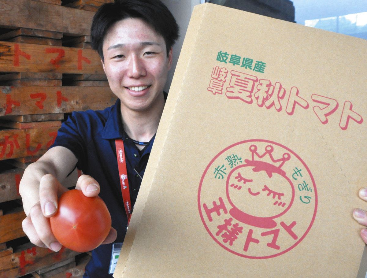 ロゴ入りの箱を手にトマトをPRするJA担当者＝中津川市茄子川の中津川トマト選果場で
