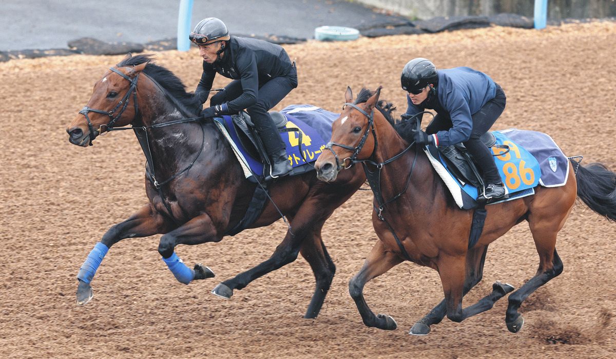 高松宮記念・1週前】昨年優勝サトノレーヴは4馬身追走し半馬身先着 堀