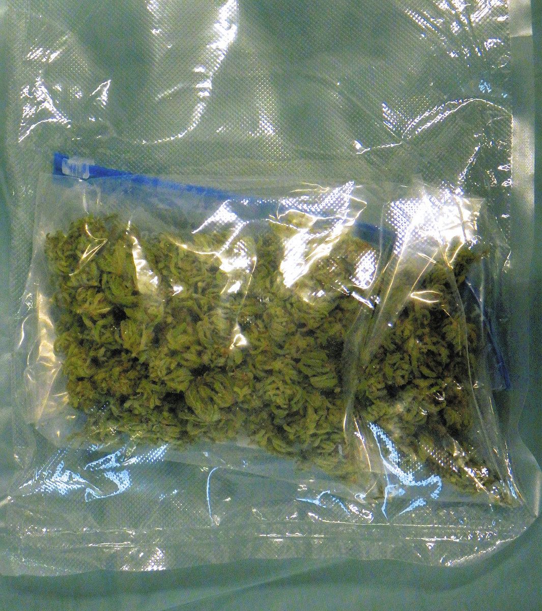 大麻取締法違反、検挙者の9割が10～20代 県警「学校と連携、教育強化
