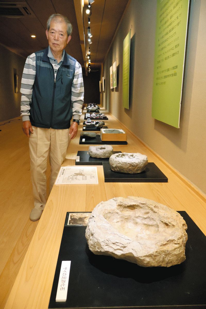 360万年以上前のナマズ化石初公開 60年化石採取の伊賀市・北田さん