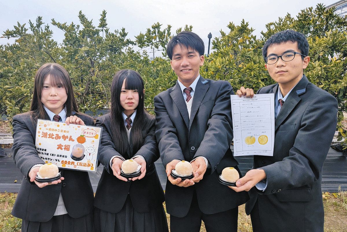 1週間のご褒美に「みかん大福」いかが 浜松湖北高生が考案、三ケ日の