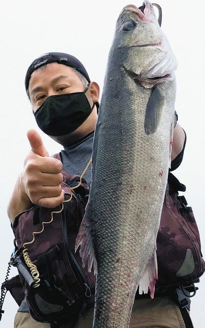 ぐるっと北勢 駿遠 マダカ有言実行 立田 中日スポーツ 東京中日スポーツ