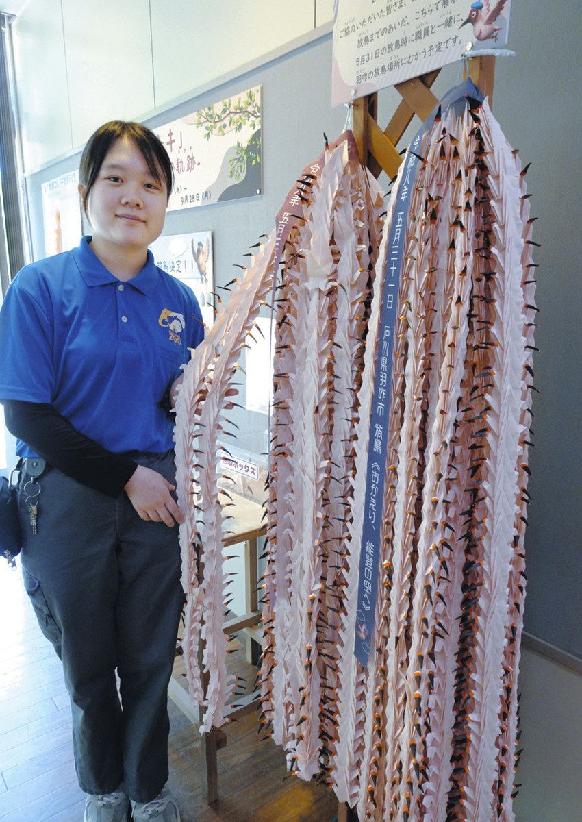 いしかわ動物園で千羽トキの折り紙が2000羽突破！