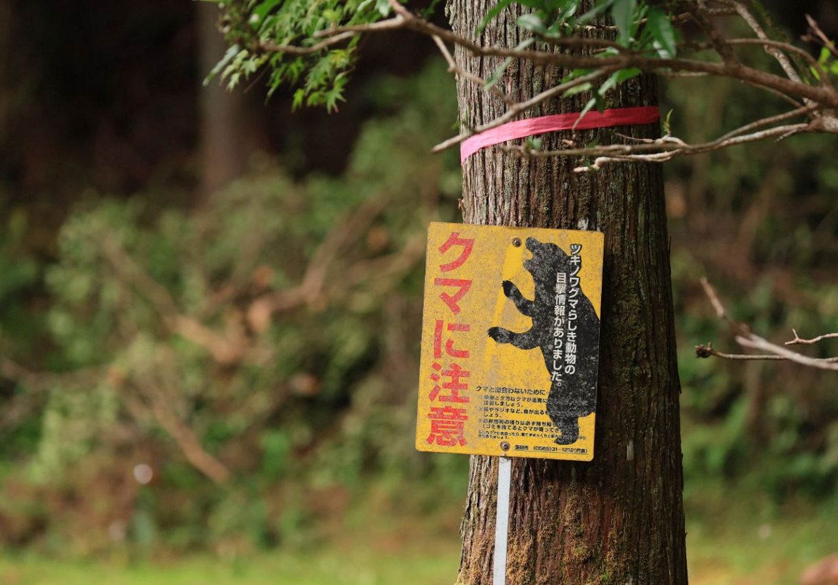 ツキノ輪クマ魔除け.災難除け.胆 ラリージャパン、コース係員にクマよけ鈴の携帯指示 ルートに入って