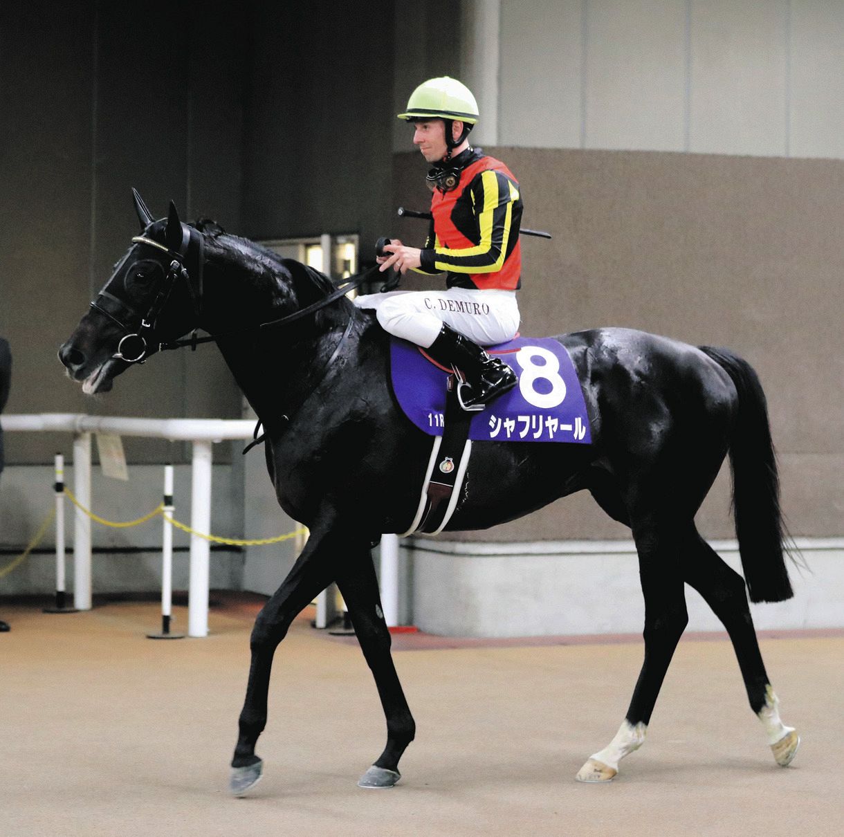 競馬　C.デムーロ騎手　サイン入り　実使用　ジョッキーパンツ Yahoo!オークション -「ミルコデムーロサイン」の落札相場・落札価格
