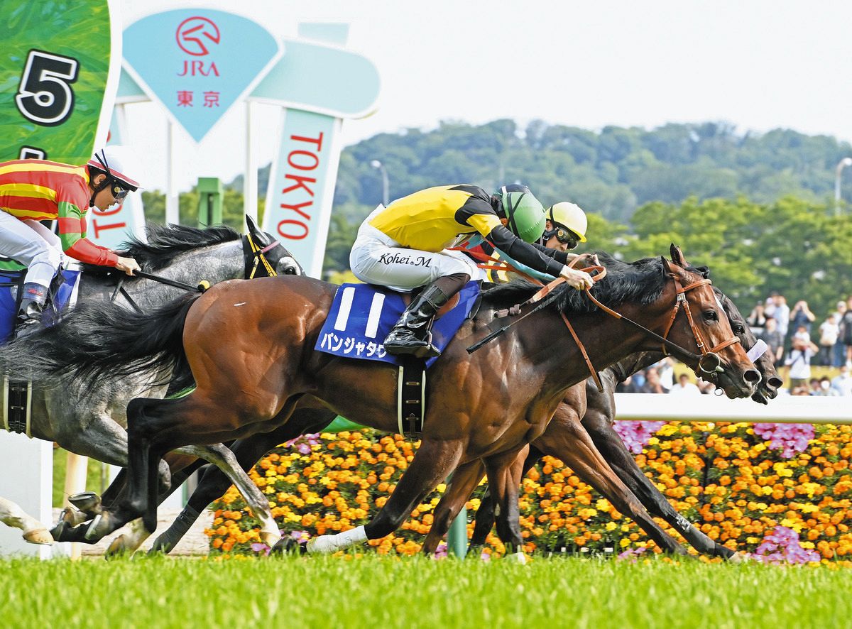 キーンランドC展望】NHKマイルC馬パンジャタワーが快足を飛ばす ドバイ