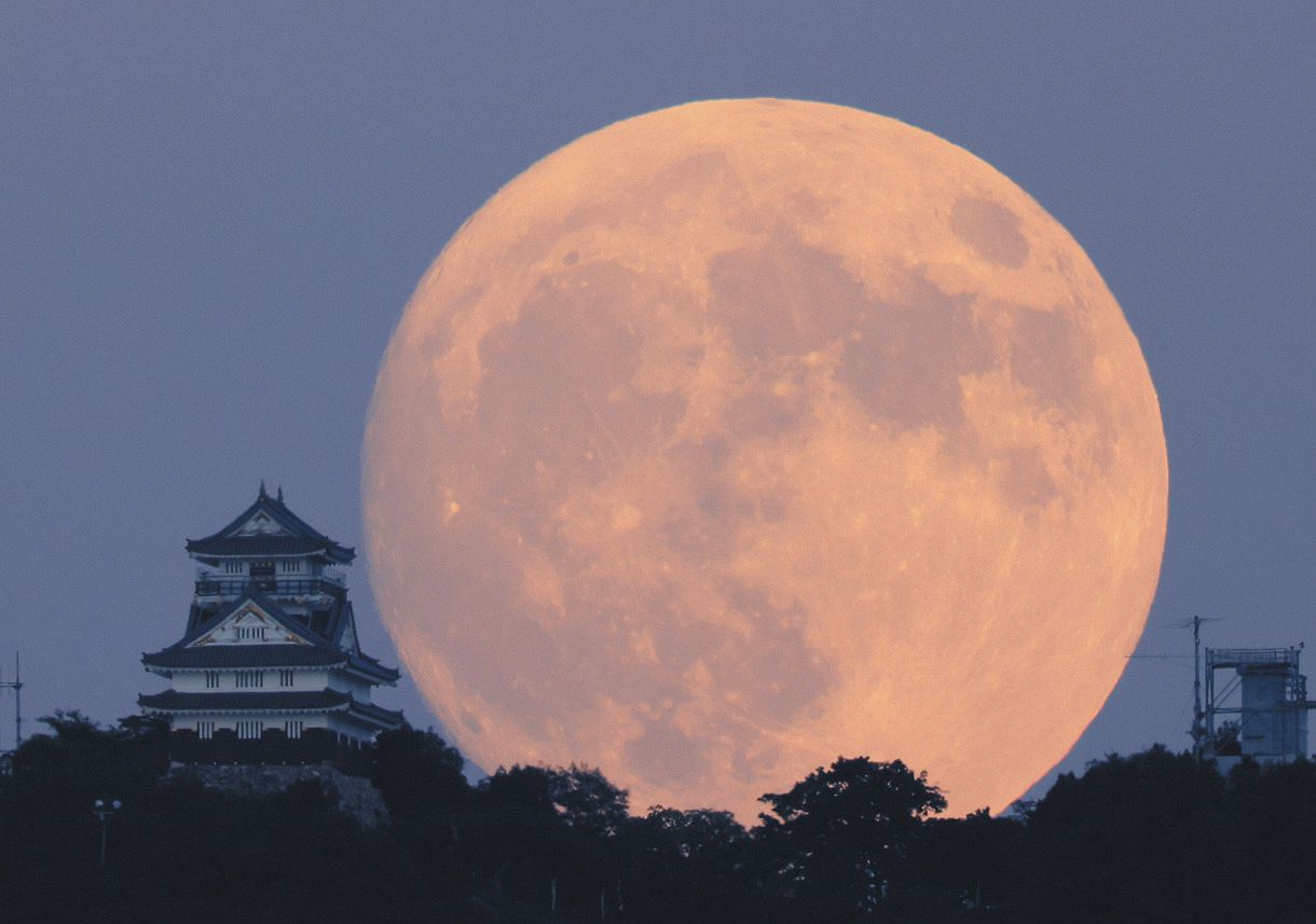 動画・写真特集】近づく秋、思わずうっとり カメラマンが捉えた「中秋の名月」：中日新聞Web