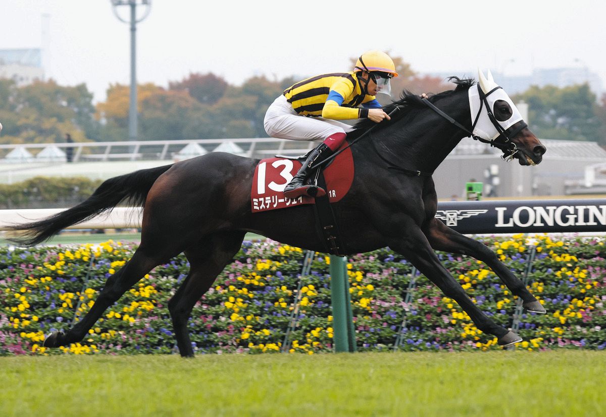 有力馬の動向】アルゼンチン共和国杯を制したミステリーウェイは有馬