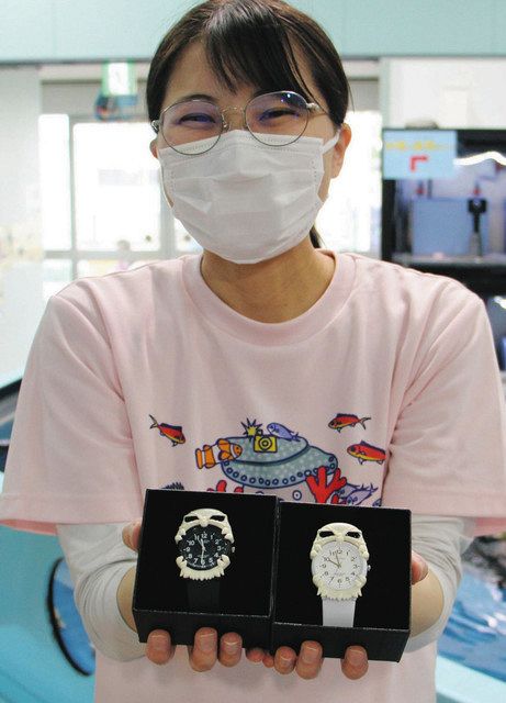 かわいい」オオグソクムシ腕時計 竹島水族館で販売、SNSで反響：中