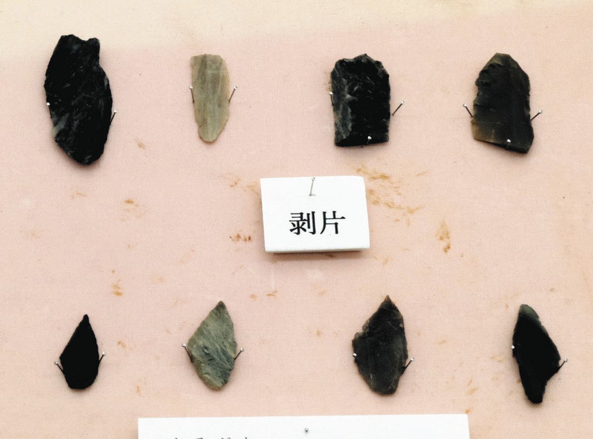 【激安通販 オンラインショップ】 3万年前の暮らしに思いはせ 小林農産ふるさと会館で出土旧石器 コレクション