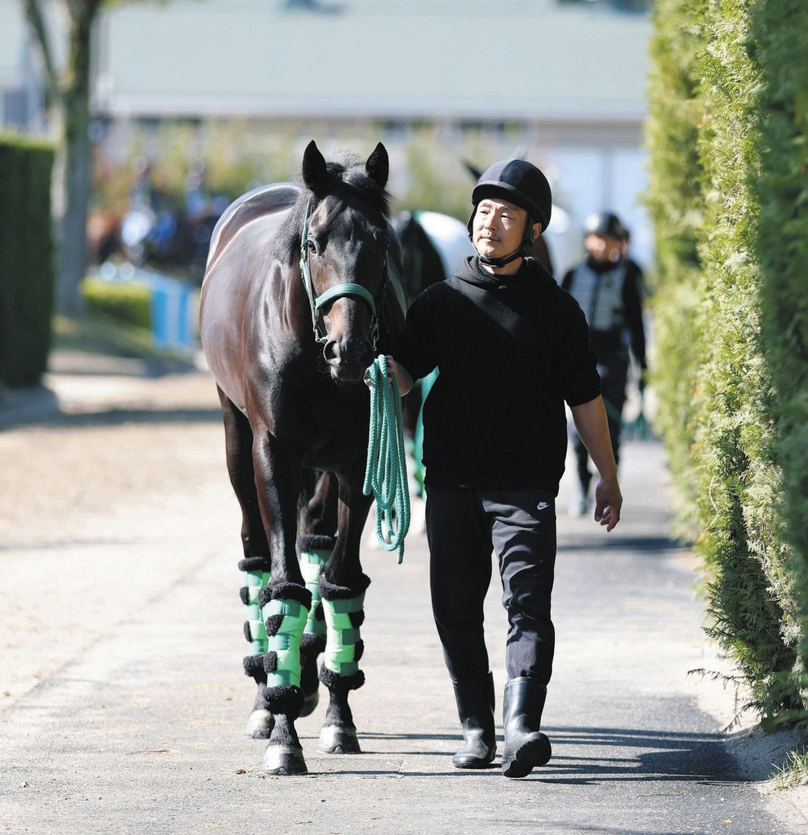 皐月賞】ホープフルS制したロブチェンは坂路で最終調整 房野助手「無駄