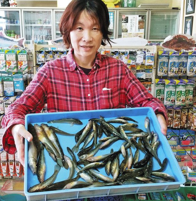 ぐるっと北勢 駿遠 ハゼ 穴釣り秒読み 矢作川 中日スポーツ 東京中日スポーツ ぐるっと北勢 駿遠 ハゼ 穴釣り秒読み 矢作川 中日スポーツ 東京中日スポーツ