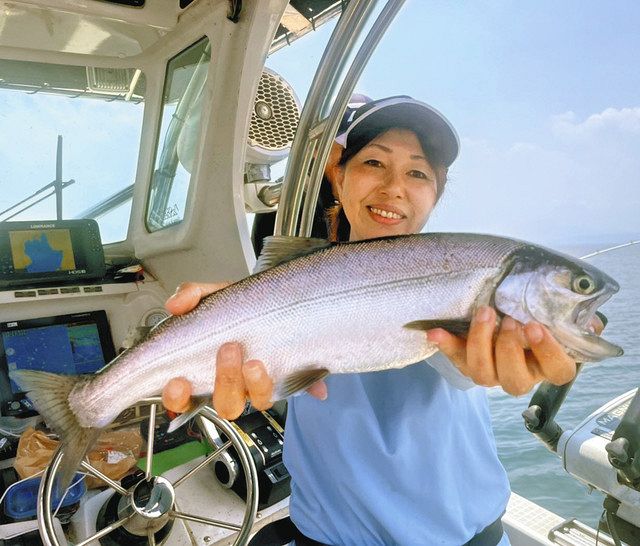 ビワマス降臨 女神の美形にうっとり 滋賀県長浜市 琵琶湖：中日スポーツ・東京中日スポーツ