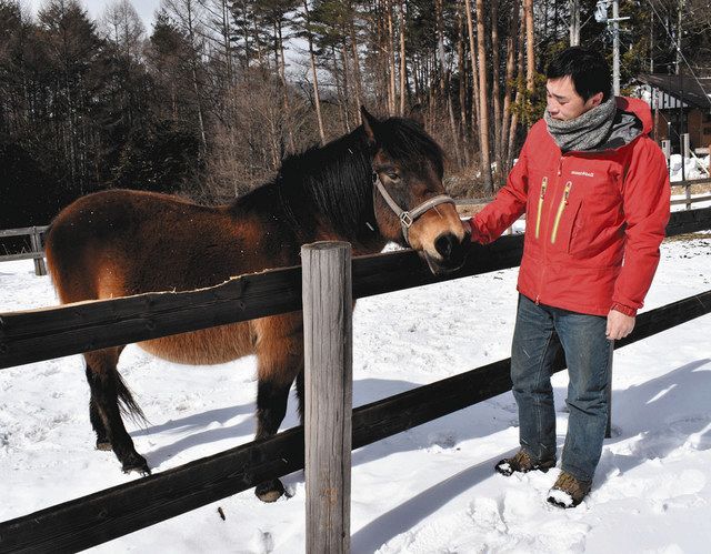 南相馬から木曽に避難１０年 木曽馬 松風号 帰宅 かなう日は 中日新聞web