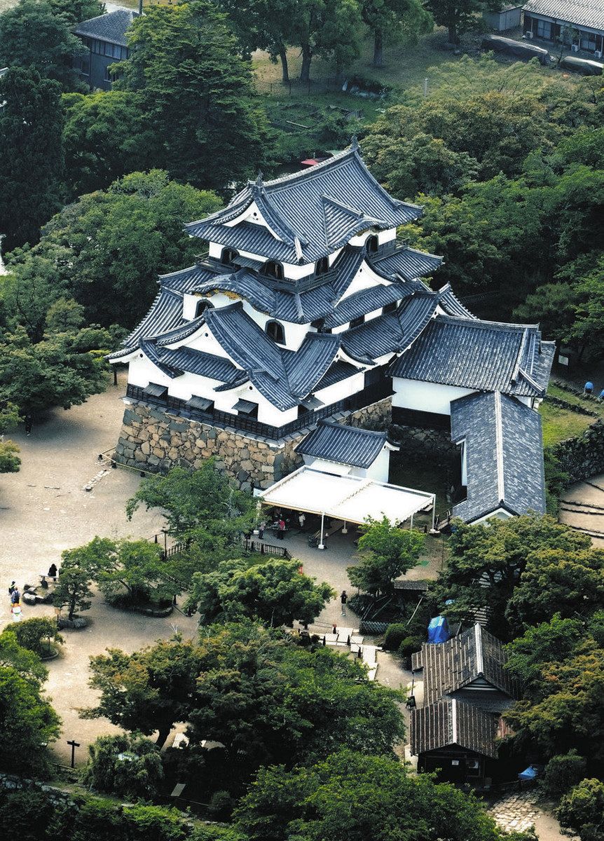 彦根城 彦根観光ガイド : 公益社団法人 彦根観光協会