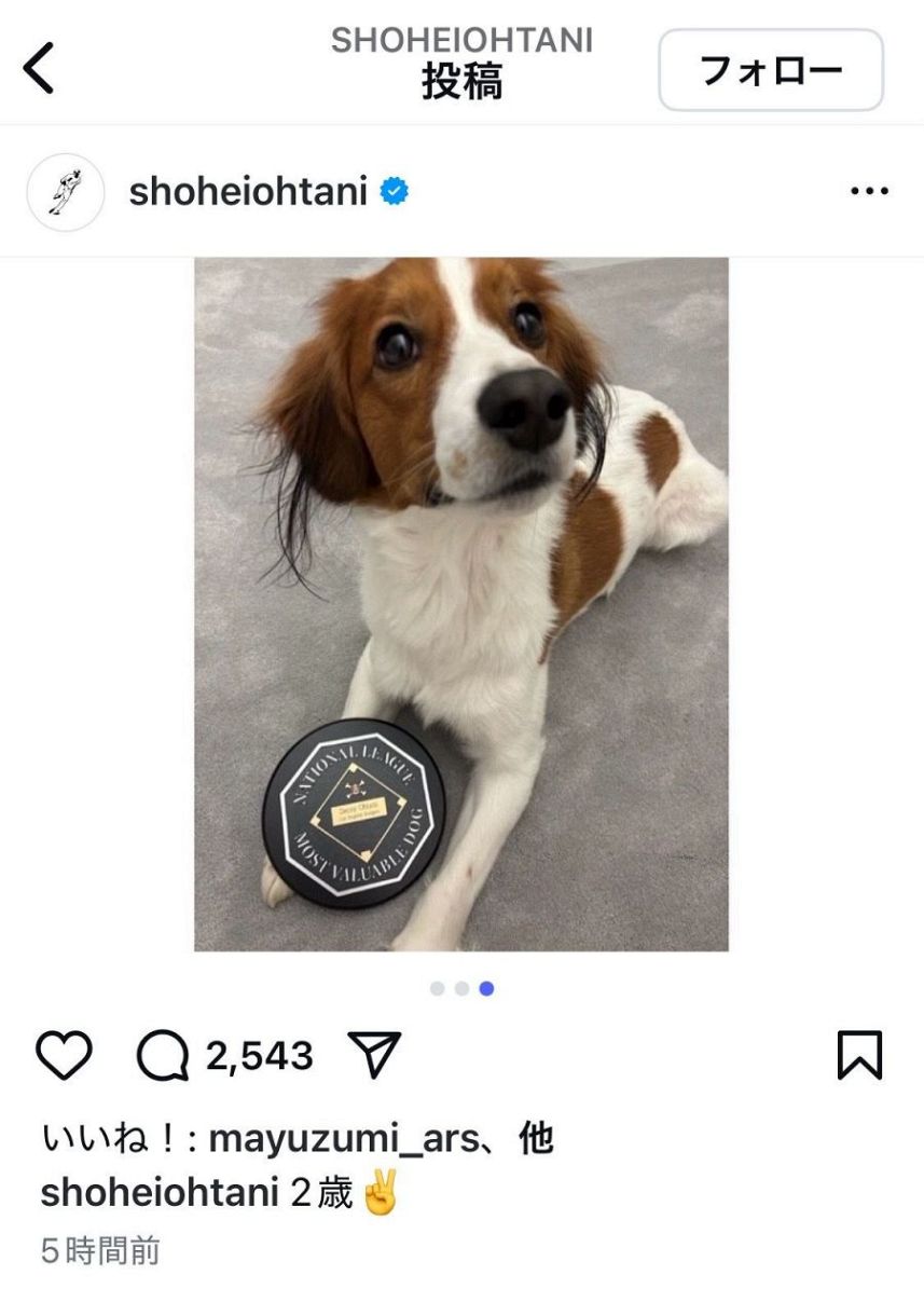 ◇大谷翔平、デコピン2歳の誕生日をバルーンと花で祝福【写真複数